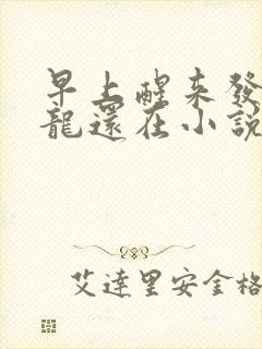 早上醒来发现巨龙还在小说