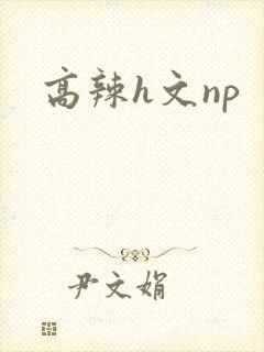 高辣h文np