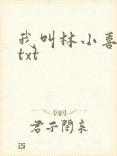 我叫林小喜小说txt