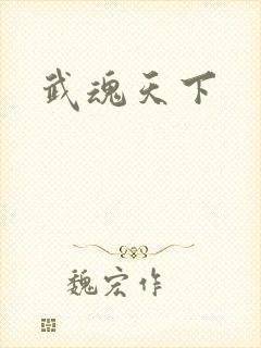 武魂天下