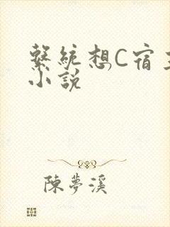 系统想C宿主的小说