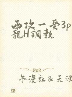 两攻一受3p双龙H调教