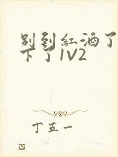 别到红酒了装不下了1V2