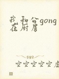 我和公gong在厨房
