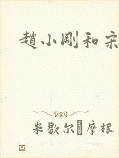 赵小刚和宋雨晴