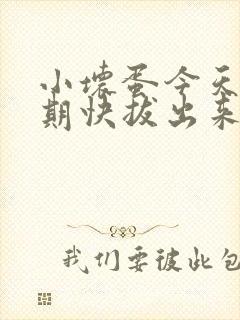 小坏蛋今天危险期快拔出来