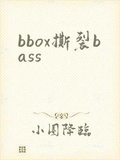 bbox撕裂bass
