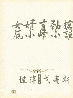 女婿有劲枪枪到底小峰小说