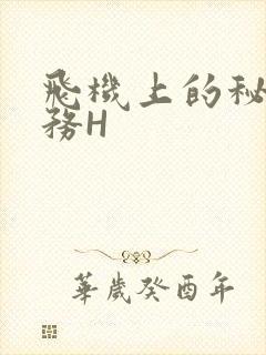 飞机上的秘密服务H