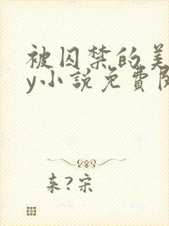 被囚禁的美人by小说免费阅读