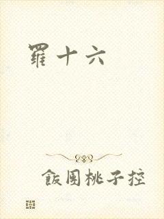 罗十六