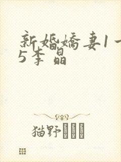 新婚娇妻1一25李晶
