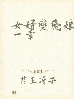 女婿双飞娘俩第一章