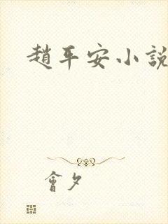 赵平安小说主角