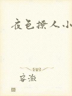 夜色撩人小说