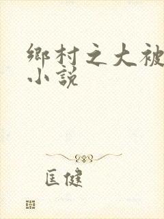 乡村之大被同眠小说