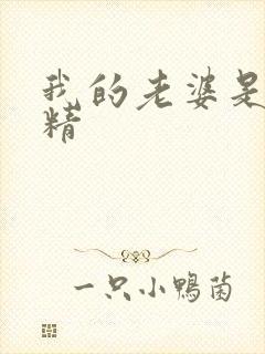 我的老婆是狐狸精