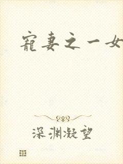 宠妻之一女二夫