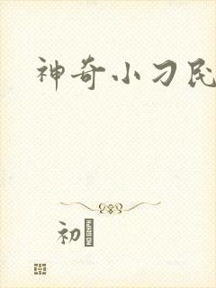 神奇小刁民