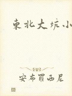 东北大坑小说