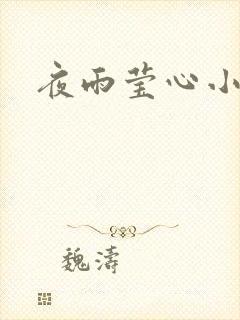 夜雨莹心小说