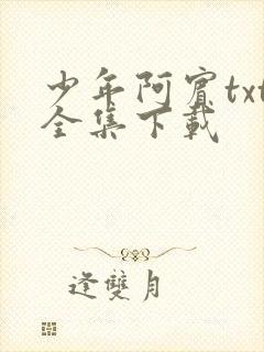 少年阿宾txt全集下载