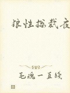 狼性总裁夜欢宠