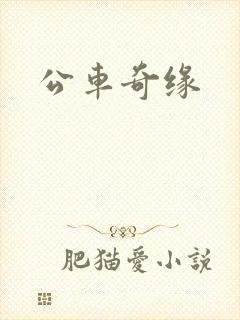 公车奇缘