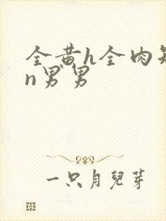 全黄h全肉短篇n男男