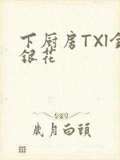 下厨房TXl金银花