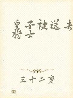 皇子被送去犒劳将士