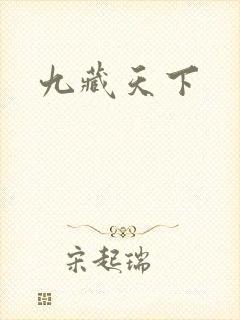 九藏天下