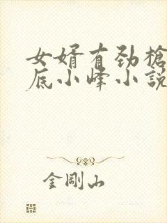 女婿有劲枪枪到底小峰小说