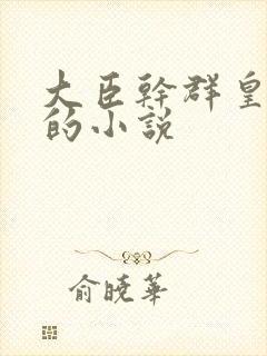 大臣干群皇太后的小说