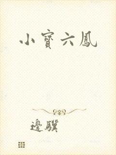 小宝六凤
