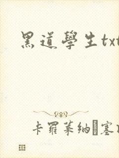 黑道学生txt