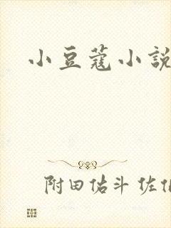 小豆蔻小说