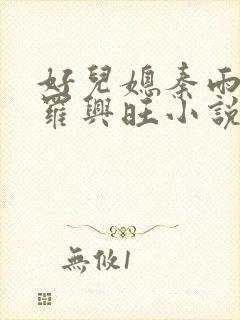 好儿媳秦雨罗明罗兴旺小说