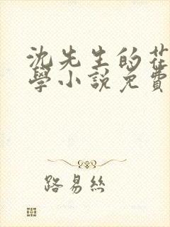 沈先生的花式教学小说免费