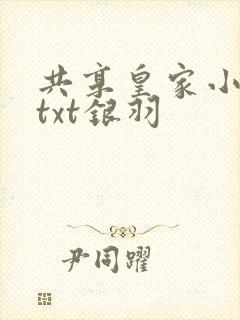 共享皇家小公主txt银羽