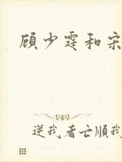 顾少霆和宋斯曼