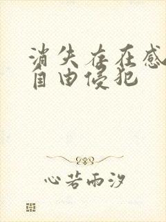 消失存在感消失自由侵犯