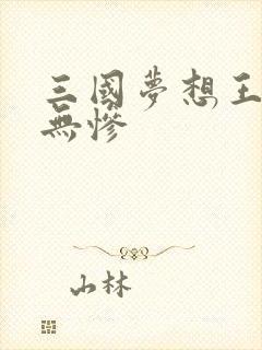 三国梦想王元姬无惨