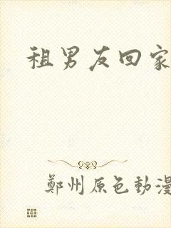 租男友回家过年