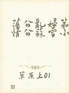 荡公乱妇第1章情公苏雪小说