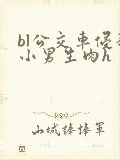 bl公交车侵犯小男生肉h