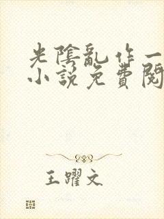 光阴乱作一团的小说免费阅读