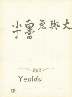 小白兔与大灰狼丁当