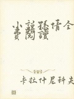 小说孙倩全文免费阅读