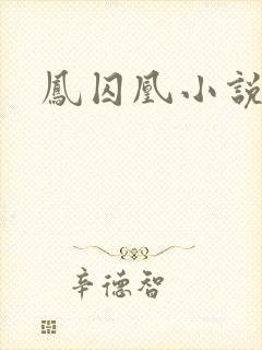 凤囚凰小说
